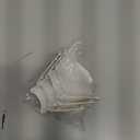 SaiDian 3Pcs E27 Plastic Bulb Shade Protective Light Bulb Cover for Home Use Replacement Lampshade Compatible with Table Lamps Practical Lamp Shade Protective Cover Plug in Light Socket