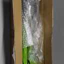 Oairse Artificial Plants Indoor with Pot, 18.1" Fake Potted Plants Medium Artificial Dracaena Plant in Black Pot Faux Tropical Plants for Bathroom Living Room Office Desk Shelf Decor (Green)