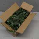 Season 2 Season Artificial Hanging Plants Fake Small Potted Plants Faux Mandala Vines Plastic Greenery Plants for Living Room Shelf Tabletop Decor (2 PCS)