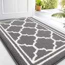 Buganda Indoor Door Mat, Dirt-Resistant and Absorbent Doormat, Anti-Slip, Low Profile Floor Mats for Inside Entryway, Front, and Back Door Entrance (32x20 Inches, Grey)