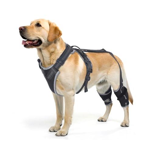 ELEGX Dog Knee Brace for Torn ACL & Hind Leg Support with Side Stabilizers– Adjustable Dog Hip & Leg Brace with Handle for Cruciate Ligament, Arthritis Relief, Joint Stability & Injury Recovery, XL