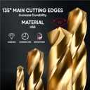 amoolo Hex Shank Drill Bit Set (13Pcs Set+3 Pcs Free), Premium 4341 HSS Titanium Impact Hex Drill Bits for Wood, Steel, Metal, Plastic, Quick Change Design (1/16 -1/4 )