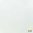 17 Carat 1st Mini Album