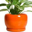 SQOWL Ceramic Pot for Plants - 8 Inch Plant Pot Indoor Outdoor, Modern Round Planter with Drainage Hole and Saucer, Decorative Planter for Flower, Office Decor, Garden Gifts for Women, Orange