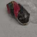 Kinlop 4 Pack 18 Inch Neutral Christmas Velvet Stocking Ruffled Design Large Christmas Stockings with Hanging Loops for Fireplace Xmas Tree Ornament Vintage Holiday Season Party Decorations