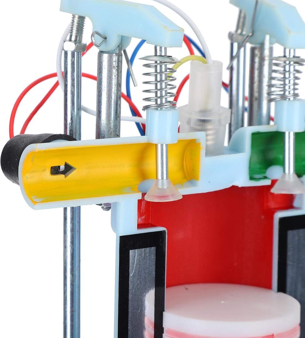 Mini Gasoline Engine Model, 4-Stroke Internal Combustion Engine Model Gasoline Engine Model, for Middle School Teacher Teaching