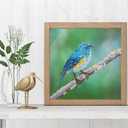 Diamond Art By Leisure Arts DMA Kit12x12 IntermediateBlue Bird