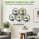 Wall Planters for Indoor Plants 5 Pack, Plant Frames Wall Decor Living Room Plant Stand Hanging Wall Plants Holder to Hold Large Pots Wall Plant Hanger Window Plant Shelves for Outdoor Entryway