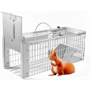 AMVOG Live Animal Cage Trap, Durable Humane Animal Trap for Squirrels, Weasels, Chipmunks, and Small Animals, Easy Catch & Release (1 Trap)