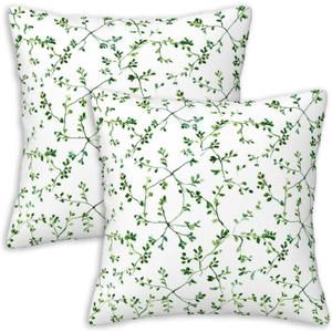 Botanical Throw Pillow Covers 18x18 Inches Set of 2 | Green Leaf Vine Minimalist Cushion Cases | Farmhouse Pillowcases for Living Room Couch Sofa Bed | Spring Summer Home Decor