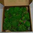 1.5 Sq. Ft. Preserved Moss Pole Decorative Moss for Crafts, Art, Wall Decor, Dark Green