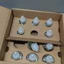 Air Wick Scented Oils 0+10 Sweetgrass & Sandalwood