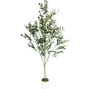Olive Trees Artificial Indoor 5FT - Fake Tree for Indoor Decor, Realistic Faux Plants with Silk Leaves Resin Trunk, Tall Floor Olive Tree for Living Room, Office, Lobby, Modern Decor