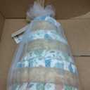 The Honest Company Diaper Cake, Diapers Baby Personal Care Plant-Based Wipes Turtle Time Regular Size 1 8-14 lbs 35 Count