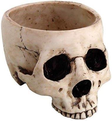 Skeleton Skull Medium Kitchen Bowl Figurine