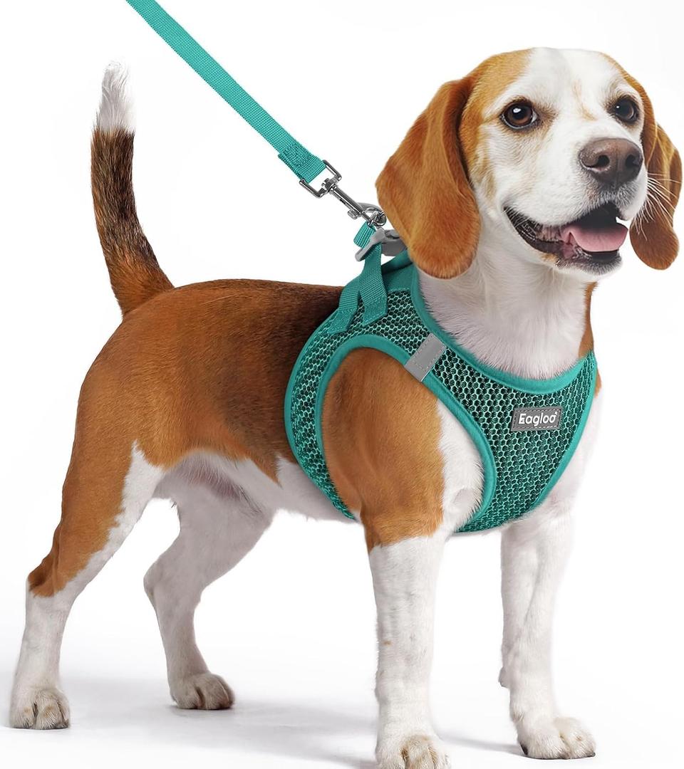 Eagloo Dog Harness and Leash Set, Step in Puppy Vest with Breathable Soft Mesh, Walking Reflective Pet Harness for Dogs, Forest Green, M
