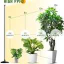 bedee LED Grow Light for Indoor Plants: 65 Inch Full Spectrum Plant Lights for Seed Starting with Timer and 10 Level Dimmable Standing Plant Growing Lamp for Greenhouse with Hanging Accessories