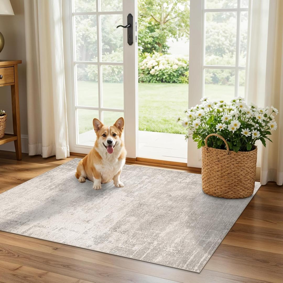 HAOYUNLAI 2x3 Entryway Area Rug: Washable Kitchen Bedroom Carpet Soft Abstract Laundry Bathroom Rugs with Non-Slip Backing Easy-Clean Distressed Home Decor Floor Mat for Pets Family (2x3, Beige/ Cream)