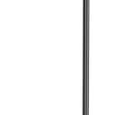 LanPavilion iPad Stand, Adjustable Tablet Floor Stand Metal Tablet Holder with Flexible Gooseneck, Compatible with iPad, Kindle, and Cell Phones (4.7''-13''), Ideal for Hands-Free Use