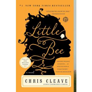 Little Bee: A Novel (Paperback)