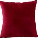 EVOLIVE Euro Sham Cover Soft Micromink Faux Velvet Pillowcase, Faux Fur Texture, Decorative Square Cushion Cover with Hidden Zipper Closure (26"x26" Euro Sham, Wine)