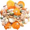 UEIEU gopiter Sea Shells - Beach Mixed Seashells - Various Size up to 2" Natural sea Shells for Crafting Fish Tank Vase Fillers Beach Theme Party Wedding Decor Home Decorations DIY Crafts (Color)
