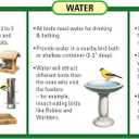 Wagner's 62067 Deluxe Treat Blend Wild Bird Food, 4 Pound (Pack of 1)