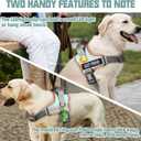 AUROTH Dog Harness and Leash Set, Soft Padded Service Dog Vest with 5.25FT Dog Leash, No Choke, Easy On Pet Vest, Adjustable Reflective No Pull Dog Harness for Large Dogs, Easy Walking and Training, XL(Neck:24"-32.7",Chest: 31.9"-43.7"), Macaron Blue