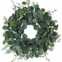 HD Designs Eucalyptus/Berry Spiral Vine Wreath, 16 in