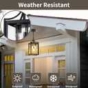 Outdoor Pendant Lights for Porch, 18.5" Large Dusk to Dawn Outdoor Chandelier with Clear Glass, Black Modern Hanging Porch Light, Adjustable Long Chain, OS-KY1004