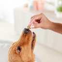 Tanks Freeze Dried Chicken Meatballs  Cage-Free Chicken, Single-Source Protein, Grain-Free, No Preservatives or Byproducts  Natural Dog Treats for All Breeds  4 oz Pouch (1 Count (Pack of 1))