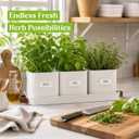 volila Herb Planter Indoor - Set of 3 Warmstone Indoor Herb Garden Pots for Plants with Leather Handled Tray - Window Sill Plant Shelf - Herb Pots with Drainage Holes and Labels