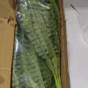 FOREST PRINCE 42" Artificial Boston Ferns, Bush Plants 2 Pack for Outdoors