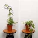 17PCSMetal Hanging Trellis for Pothos Plant Climbing Support | Vine Wall Lattice for Indoor and Outdoor Garden | House Accessories for Climbing Plants | Small Metal Trellis for Lattice Support (Hexagon Chain Trellis)