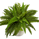 Indoor Boston Artificial Fern