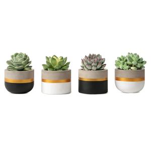 Mkono 3 Inch Mini Succulent Pots Concrete Planter Set, Modern Tiny Container for Indoor Plants, Christmas Home Office Decor Gifts for Plant Lovers (Plant NOT Included)