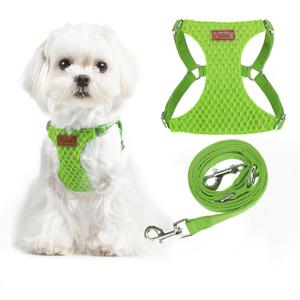 PUPTECK Dog Harness and Leash Set Small Sized, Step-in Cute Puppy Harness, Soft Lightweight Padded Vest, Escape Proof No Pull Pet Harnesses Easy for Walking, Green, XXS