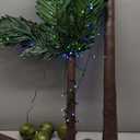 Ledido 5FT Colorful Lighted Palm Tree with 3 Coconuts, 144LED Light Up Palm Trees Outdoor with Remote Waterproof Dimmable, Artificial Led Palm Tree for Indoor, Pool, Patio, Yard, Tropical Party Decor