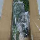 8 Pcs Large Christmas Norfolk Pine Stems 36 Inch, Long Greenery Artificial Realistic Lighted Pine Branches with Lights for Tall Vase, Fireplace Mantel Decor, Centerpieces & Indoor Decorations, Filler