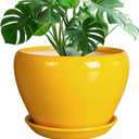 Ceramic Planter - 10 Inch Plant Pot for Indoor Outdoor Plants Glaze Modern Round Planter with Drainage Hole and Saucer for Garden Office Home Room Patio Decor, Yellow