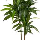 Nearly Natural 48in Artificial Dracaena with Real Touch Leaves and Multi Tonal Trunks, Large Indoor Silk Plant with Pot, Maintenance Free For Living Room And Home Office Decor