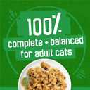 Purina Friskies Indoor Cat Food 24ct VP - (Chicken and Turkey Casserole, Saucy Seafood Bake, Homestyle Turkey Dinner) - (Pack of 24) 5.5 oz. Cans (EXP 03/01/28)