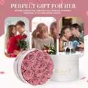 FIACO 12 Preserved Roses in Box Forever Flowers for Delivery Christmas Anniversary Birthday Gifts for Women Fresh Eternal Rose Valentines Day Gifts for Her-Dusty Rose