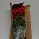 Watayo 60 Pcs Christmas Artificial Pine Branches with Red Berry Stems, 10.5" Faux Evergreen Norfolk Pine Cypress Leaves Stems, Fake Foliage Pine Needles Picks for DIY Craft Garland Home Decor