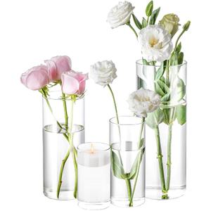 1 Pack Glass Cylinder Vases Tall Clear Flower Vase Hurricane Floating Candle Holder for Table Centerpiece Wedding Home Decor