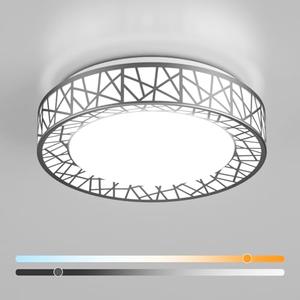 Lightania 12 Inch Flush Mount Ceiling Light, Modern Brushed Nickel LED Ceiling Light Fixture, 20W 1400LM 2700-6500K Adjustable, Dimmable Ceiling Lights for Bedroom, Kitchen, Hallway, Bathroom, ETL