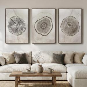 Large Framed Gray Tree Rings Wall Art for Living Room, 3 Piece Neutral Nature Tree Stump Canvas Artwork for walls, Wabi Sabi Wood Grain Prints Paintings for Bedroom Hallway Wall Decor, 24x36 Inchs