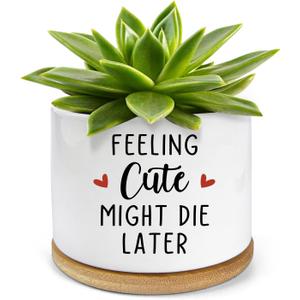 Feeling Cute Might Die Later Pot- Ceramic Engraved Succulent Aloe Cactus Planter Pot, Funny Indoor Plant Pots with Bamboo Tray for Mom Grandma Teacher Gifts(Plant Not Included)