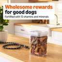 Amazon Basics Crunchy Dog Biscuits Gravy Basted Flavor Dog Treats 5 lb. Box