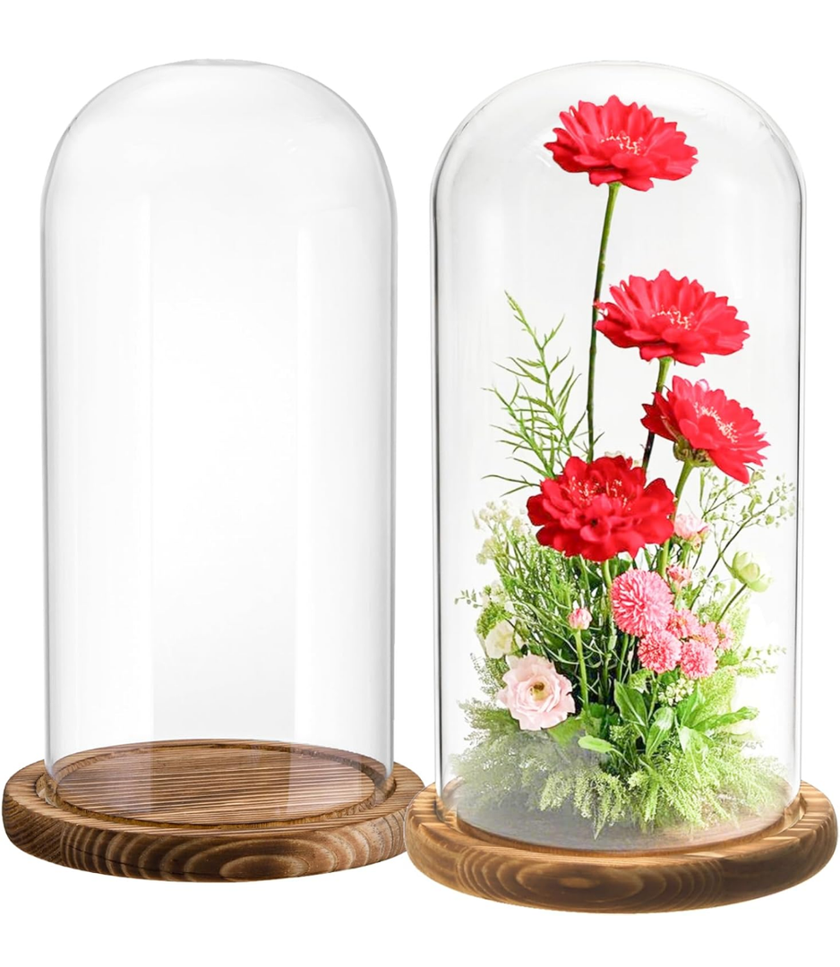 2 Pack Glass Cloche Display Dome, 10 Inch Large Decorative Glass Bell Jar, Clear Glass Dome Showcase with Dark Brown Wooden Base, for Plants, Medals, Photos, Antique Collectibles, Mother's Day